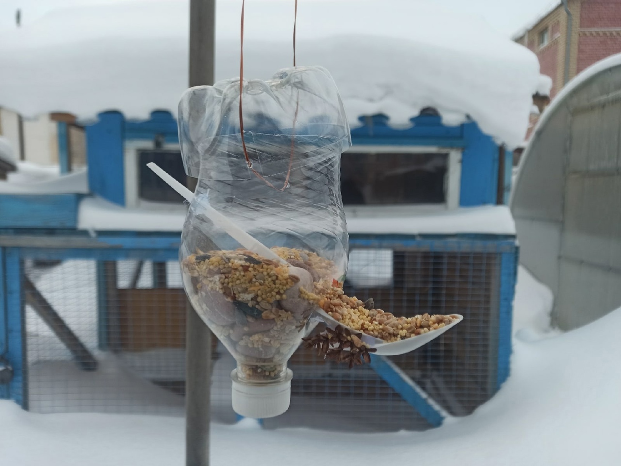 Учащиеся в Ярославской области создают необычные кормушки в рамках акции «Покормите птиц зимой»