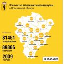 В Ярославской области выявили коронавирус еще у 244 человек, трое скончались