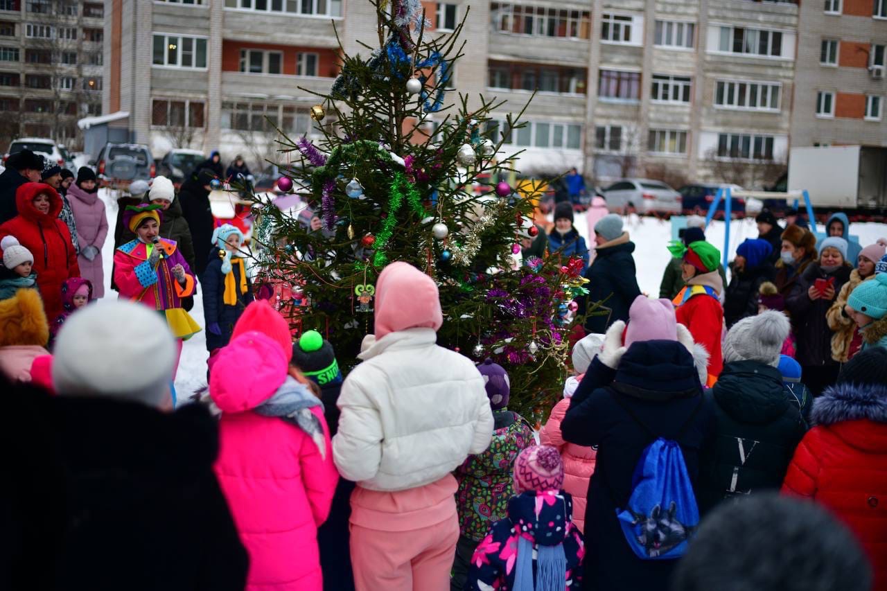 Во дворах Ярославля прошло более 60 новогодних елок в праздничные дни