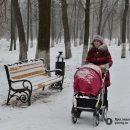 Синоптики: циклон с севера Атлантики принесет в Ярославскую область метель и порывистый ветер