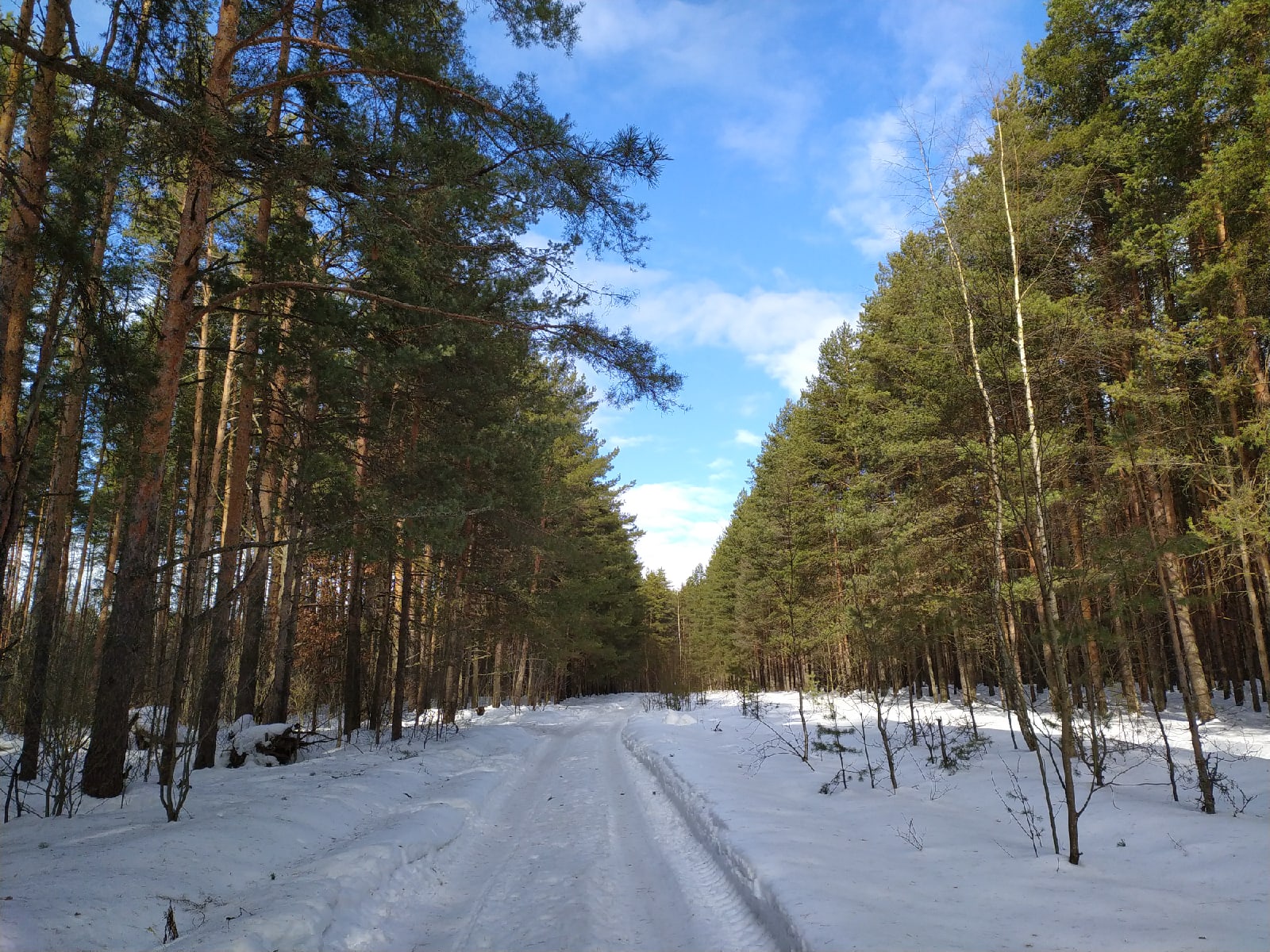 В Ярославской области мороз и солнце сменятся на потепление и осадки