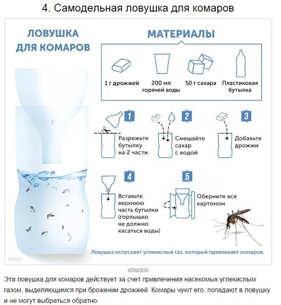 10 способов борьбы с комарами