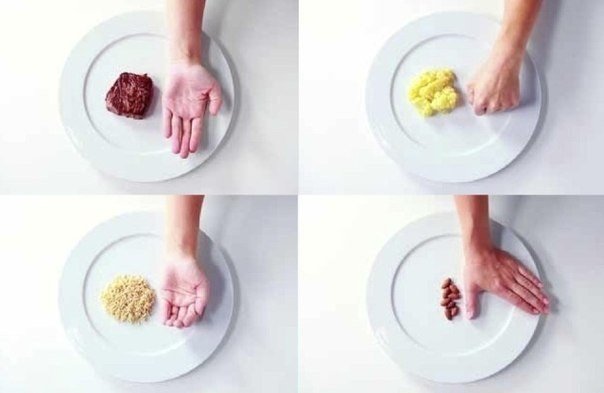  Как определять правильный размер порций еды при помощи "правила рук"?