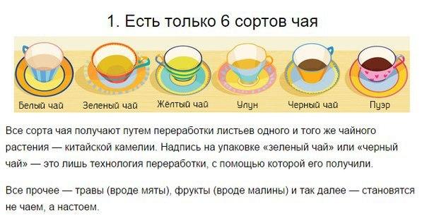  Вещи, которые вы не знали о том, как пить чай